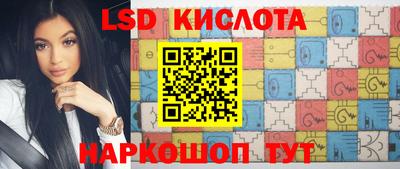 гашик Гусев