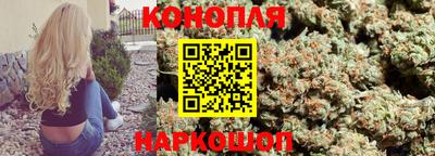 гашик Гусев