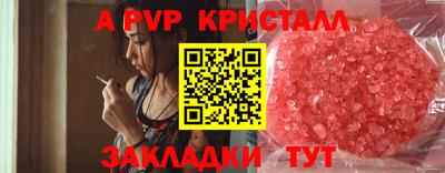 гашик Гусев