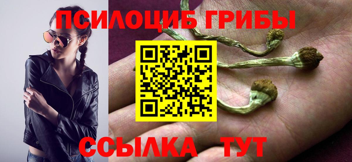 Псилоцибиновые грибы мицелий Кызыл