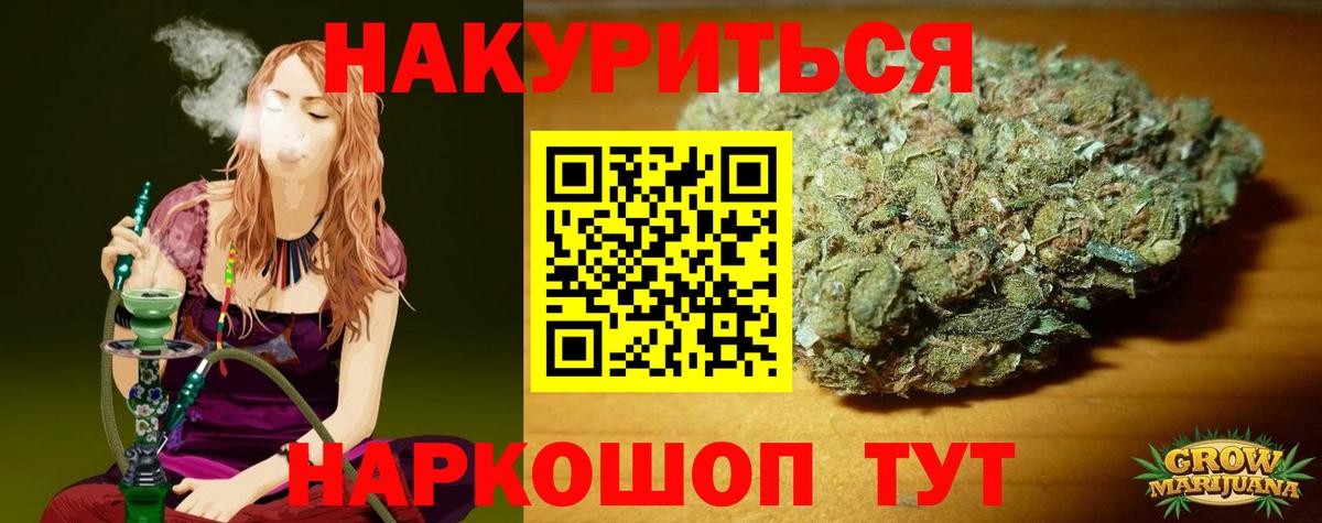 Канабис ГИДРОПОН  Каннабис планчик  Кызыл  Бошки марихуана конопля  Канабис VHQ  Вход с VPN 